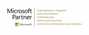 Microsoft Partner Gold