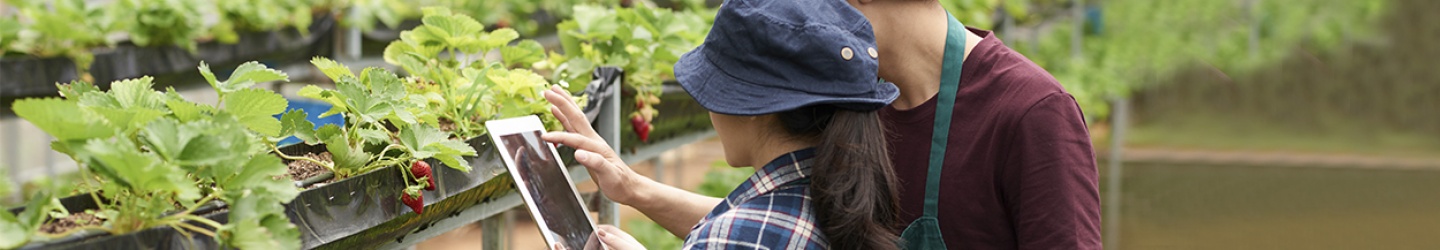 Tu solución ERP para el sector agrícola