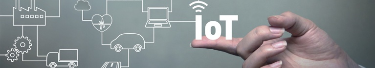 Presente y futuro del IoT